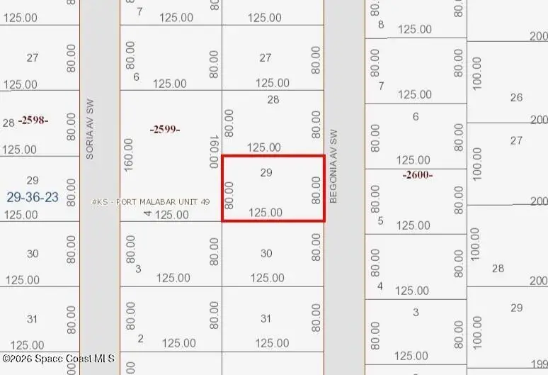 2178 Begonia Avenue Sw, Palm Bay, FL 32908 - #2