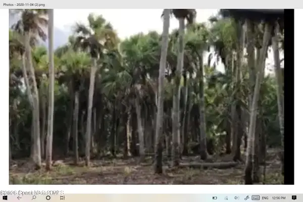 O00 E Unknown, Merritt Island, FL 32953