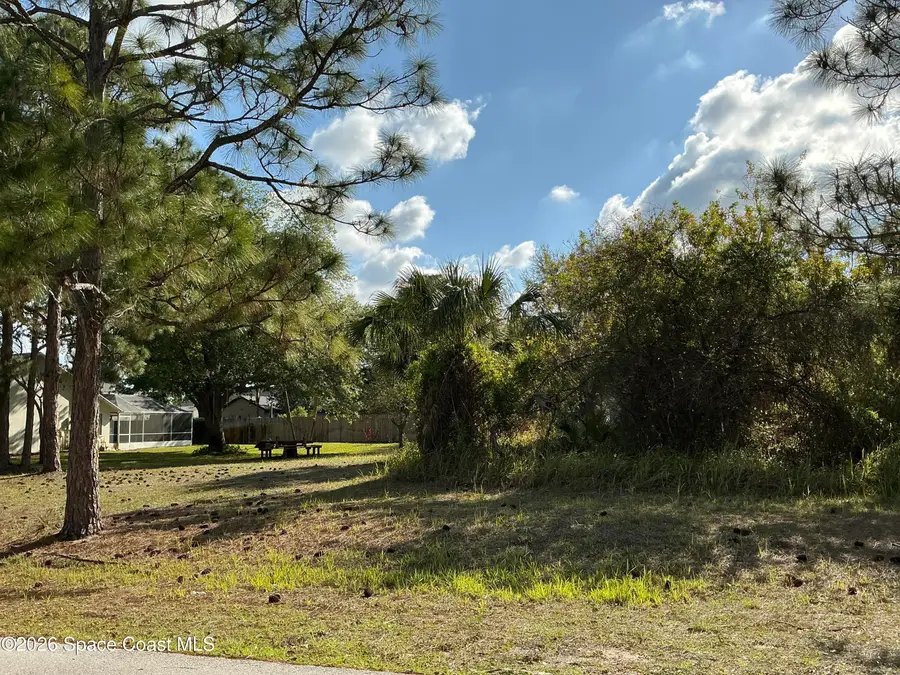 1741 Hamilton Avenue Sw, Palm Bay, FL 32908 - #3