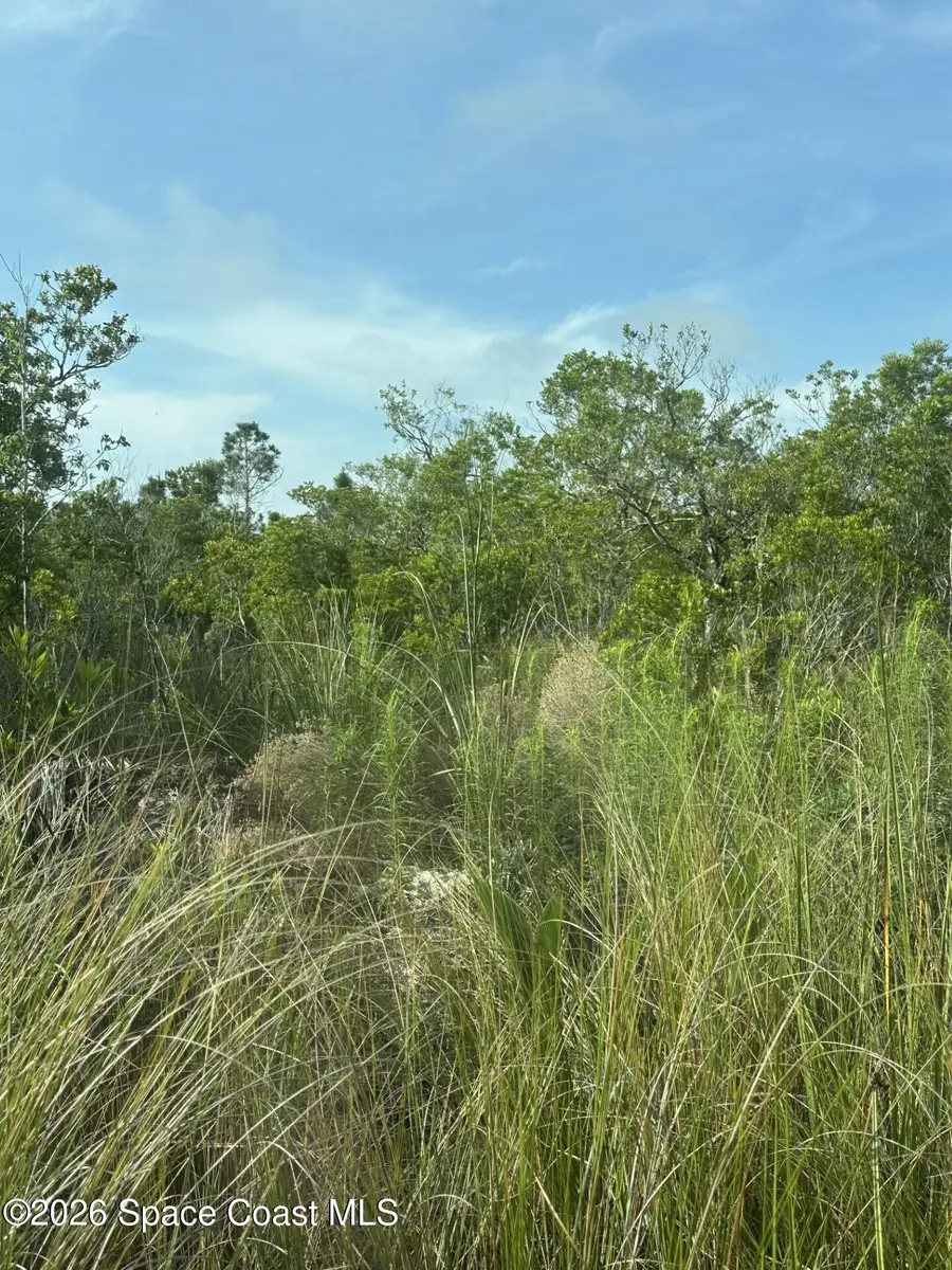 0 Unknown Avenue, Cocoa, FL 32926 - #2