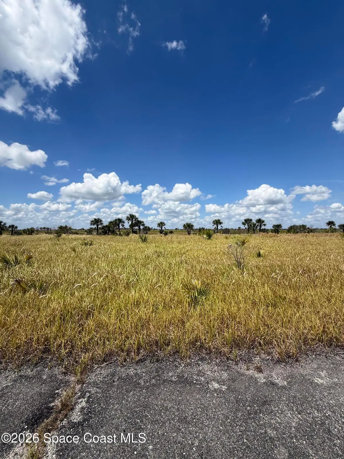 2056 Wabowen Road Sw, Palm Bay, FL 32908 - #1