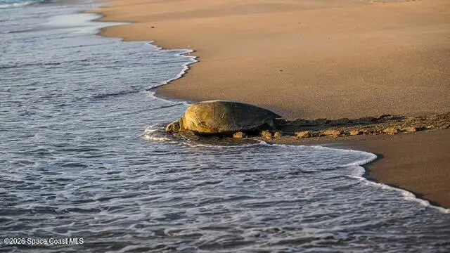 7135 S Highway A1a #D, Melbourne Beach, FL 32951 - #3