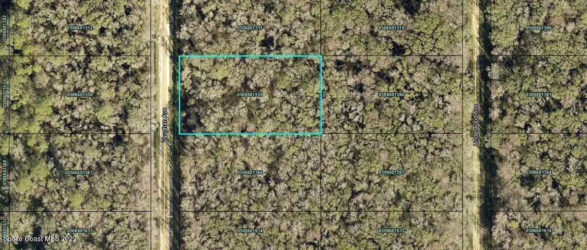 10620 Vaughan Avenue, Hastings, FL 32145 - #1