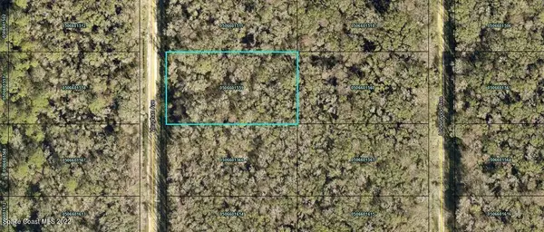 10620 Vaughan Avenue, Hastings, FL 32145