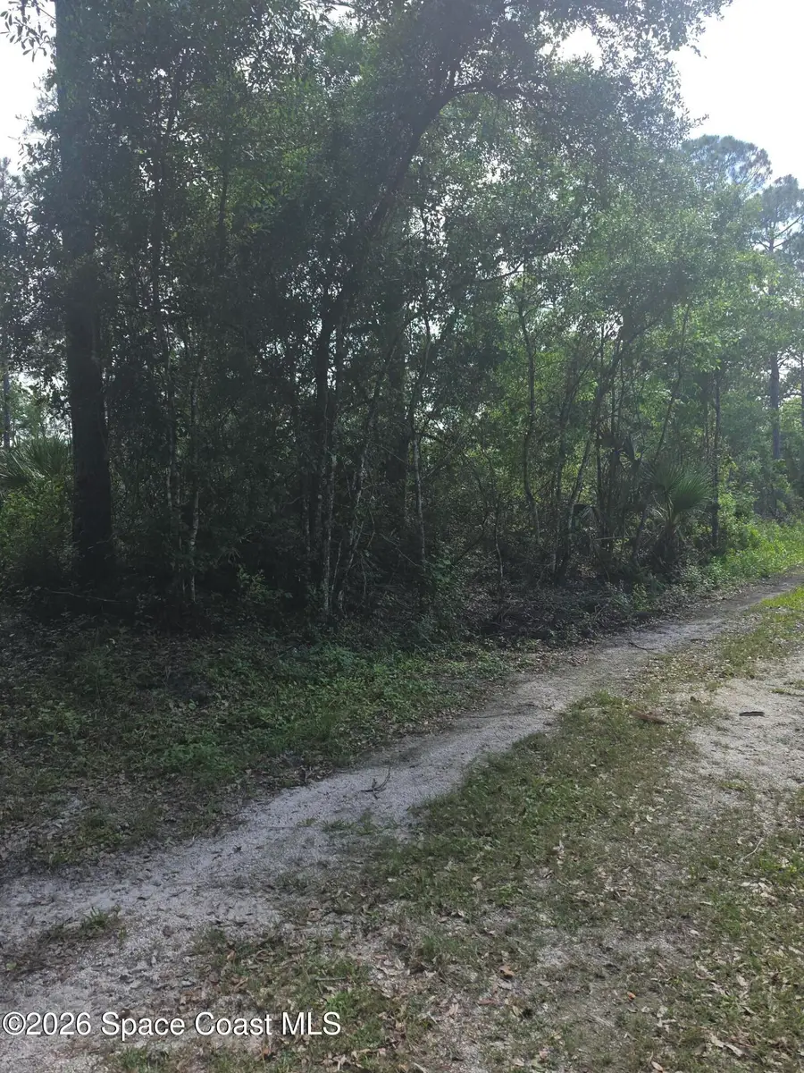 0000 Spanks Street, Mims, FL 32754 - #3