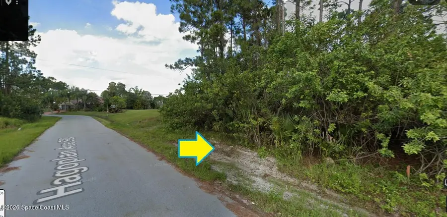 2321 Hagoplan Avenue Sw, Palm Bay, FL 32908 - #2