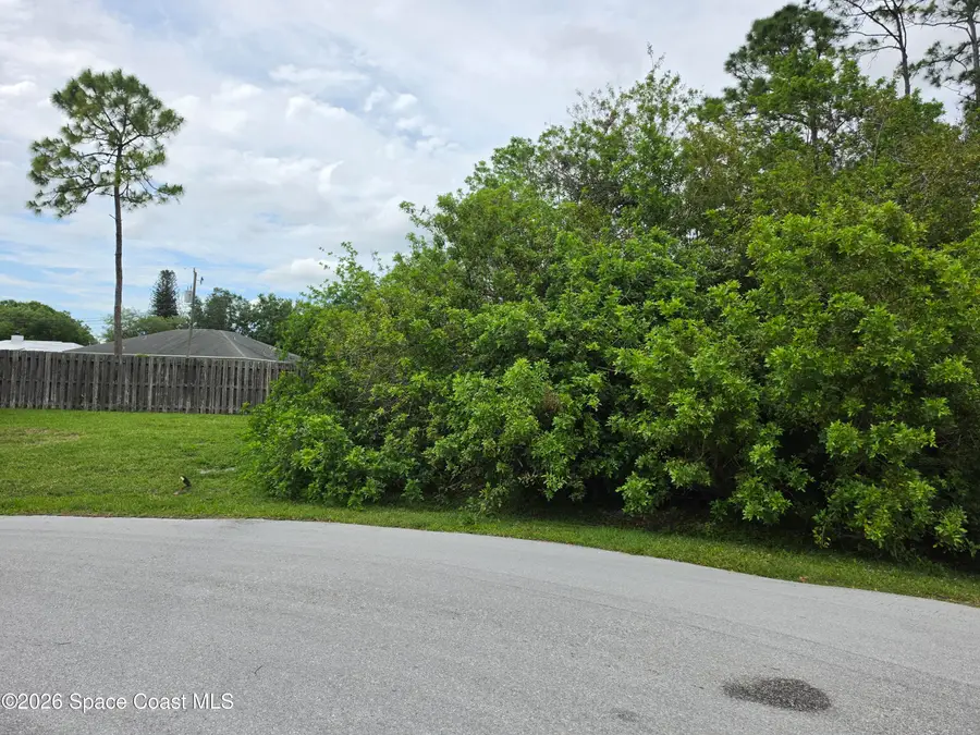 1723 Delki Street Nw, Palm Bay, FL 32907 - #3