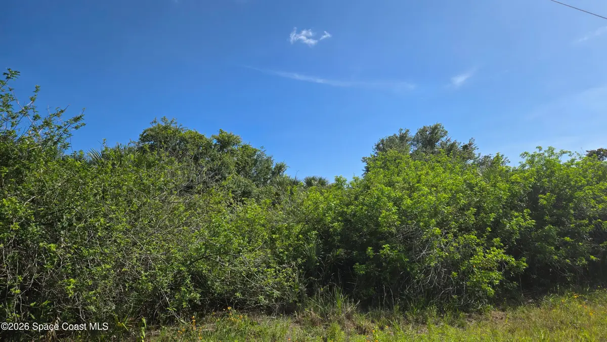 321 Buckskin Street, Palm Bay, FL 32909 - #1