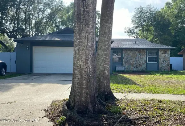13923 Capitol Drive, Tampa, FL 33611