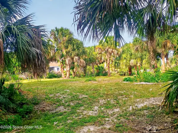2859 Basil Avenue Sw, Palm Bay, FL 32908