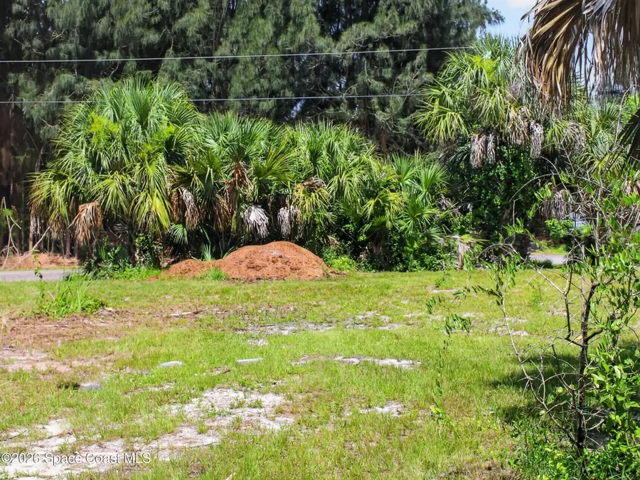 2859 Basil Avenue Sw, Palm Bay, FL 32908 - #3