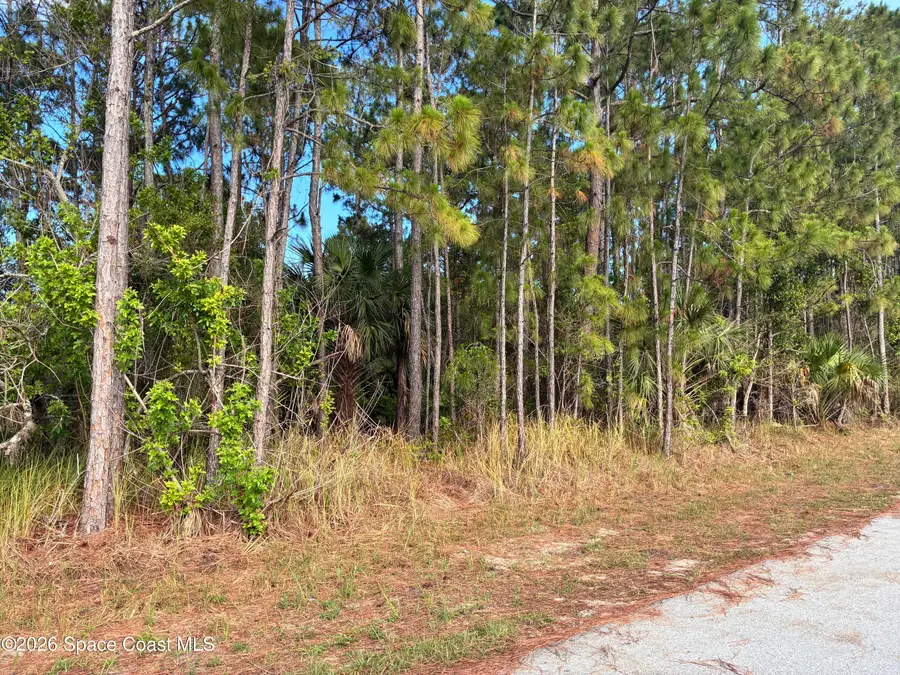 0 SE Ulster/union Street Se, Palm Bay, FL 32909 - #2