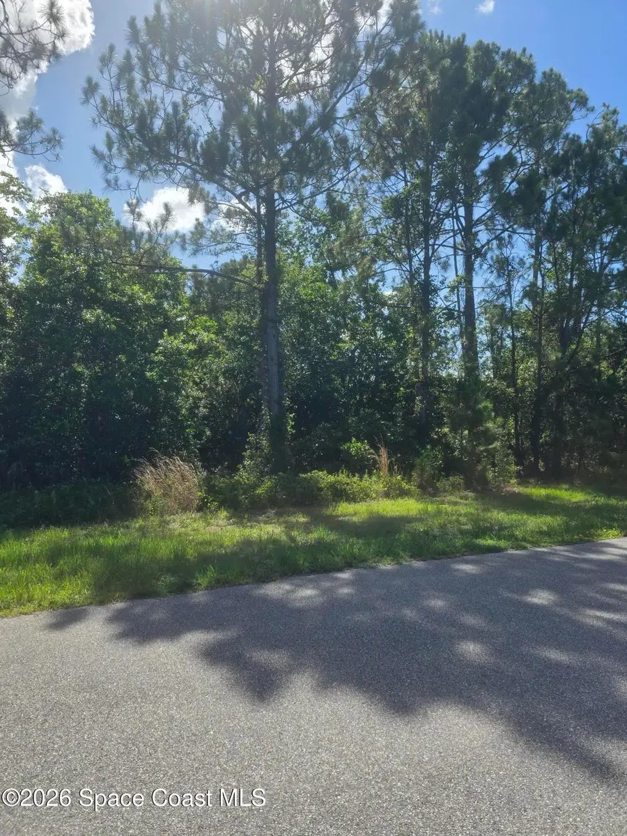3906 Rambling Acres Drive, Titusville, FL 32780 - #3