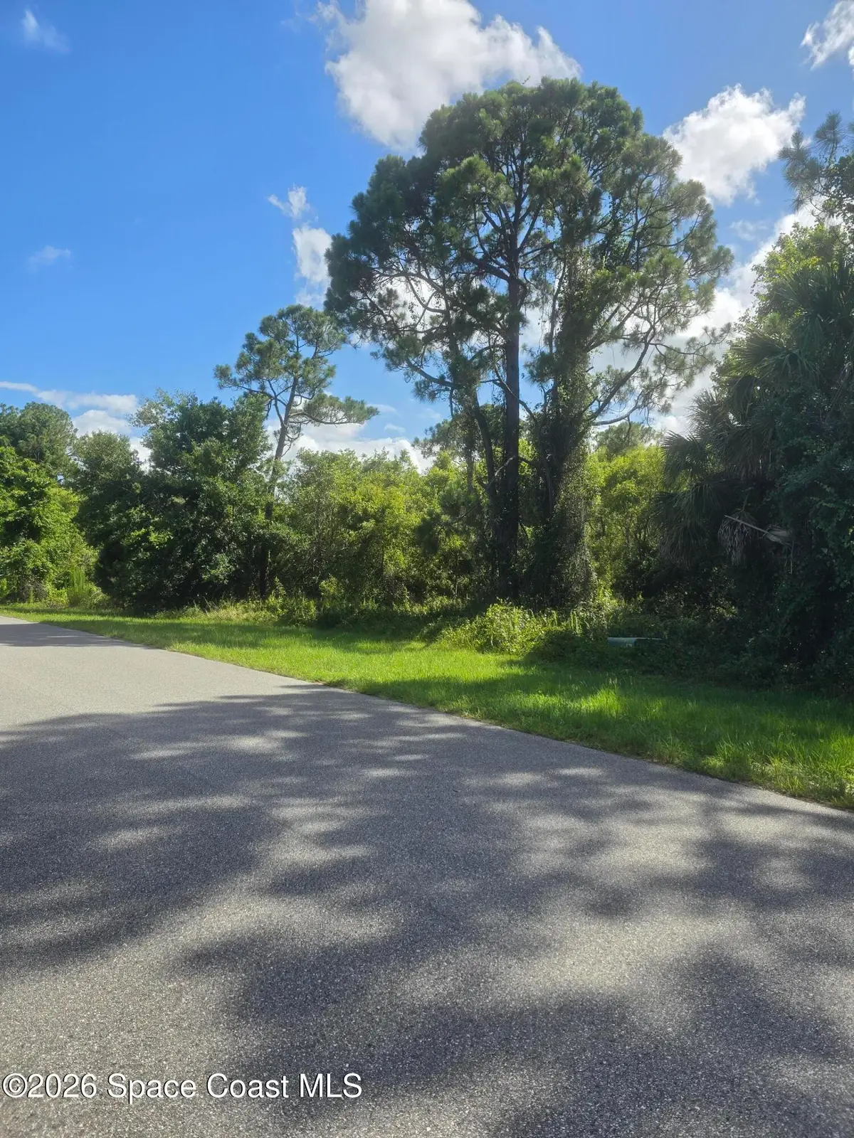 3912 Rambling Acres Drive, Titusville, FL 32796 - #1