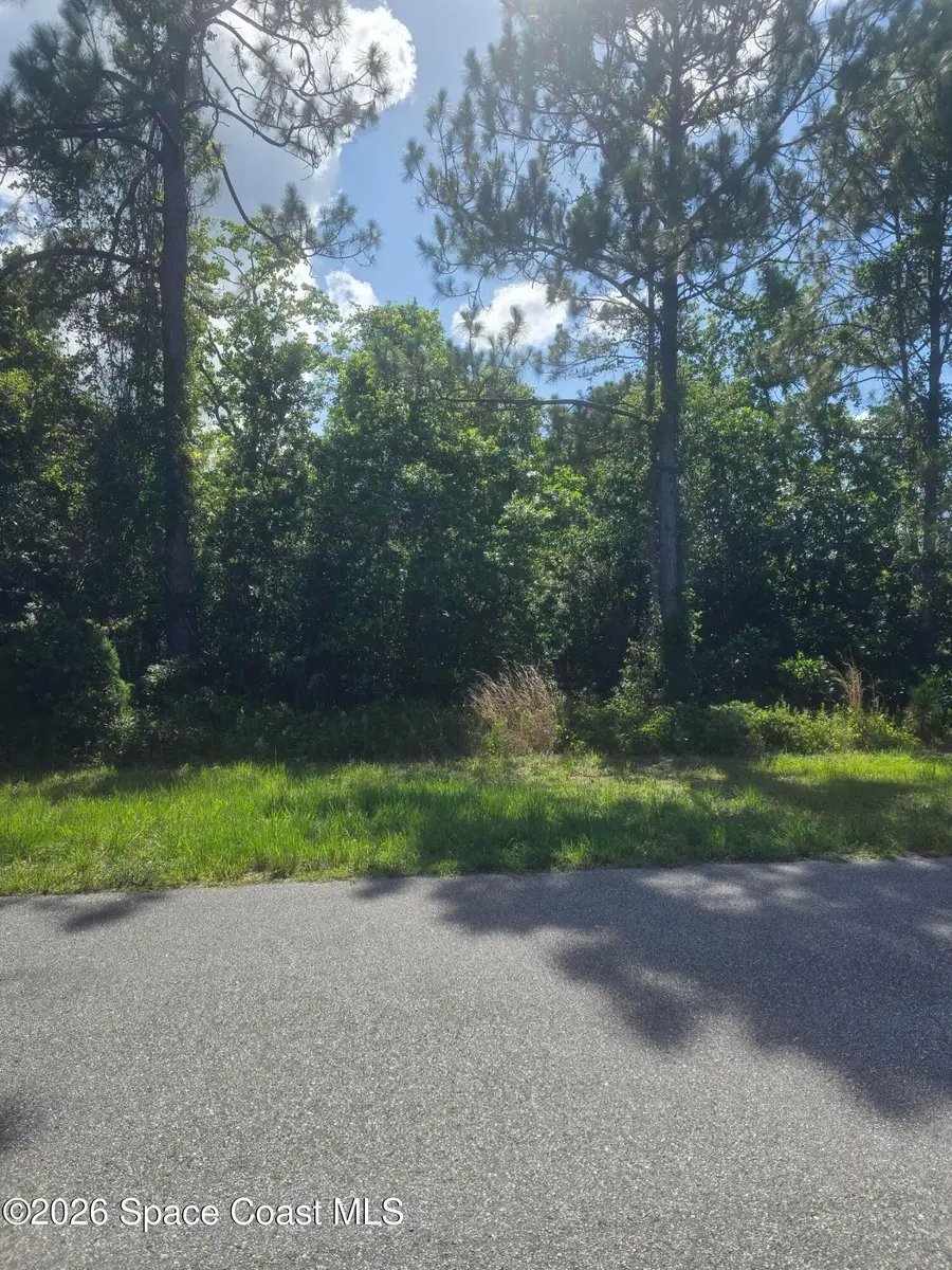 3912 Rambling Acres Drive, Titusville, FL 32796 - #2