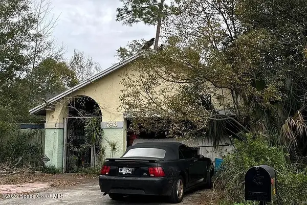 13913 Cherry Creek Drive, Tampa, FL 33618
