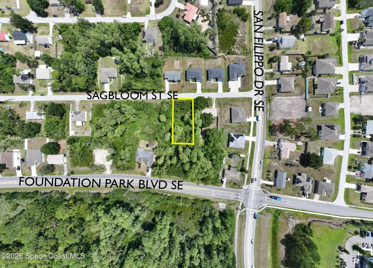 1317 Sagbloom Street Se, Palm Bay, FL 32909 - #1