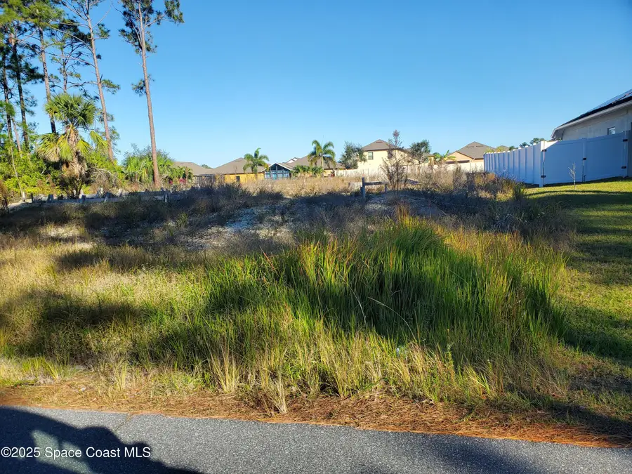 461 Paigo Street Se, Palm Bay, FL 32909 - #2