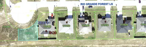 2324 Rio Grande Forest Lane, Poinciana, FL 34759