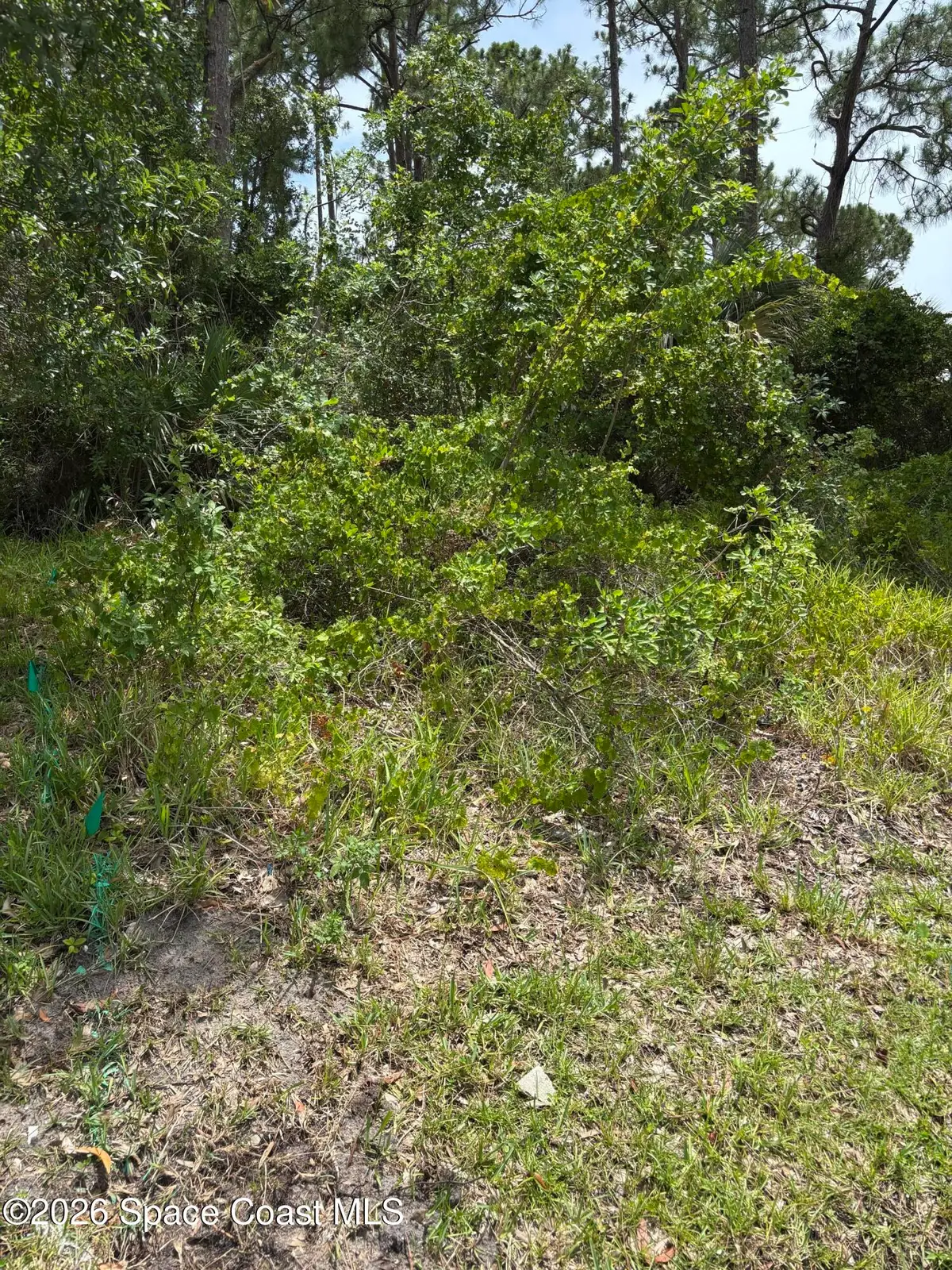 2086 SW Kimberly Avenue Sw, Port Saint Lucie, FL 34953 - #1