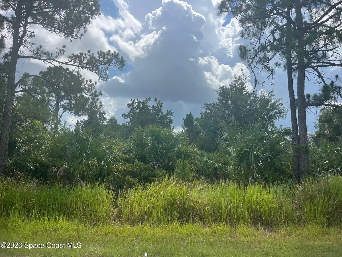 541 Windswept Avenue Sw, Palm Bay, FL 32908 - #1