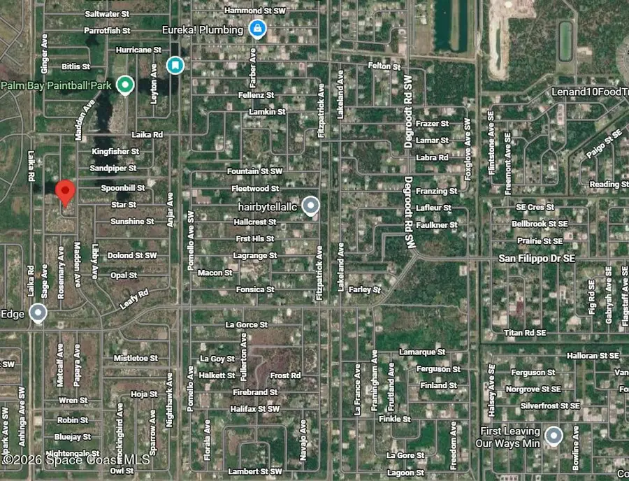 2885 Basil Avenue Sw, Palm Bay, FL 32908 - #2