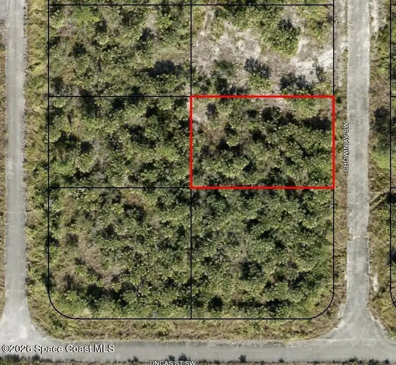3390 Chowin Avenue Sw, Palm Bay, FL 32908 - #1
