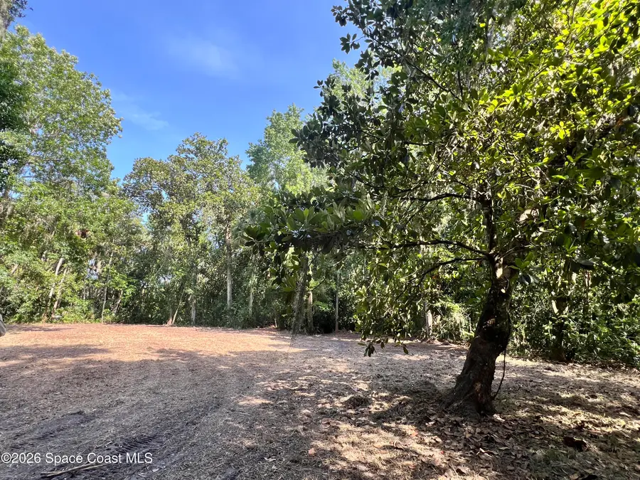 0 Carter Road, Mims, FL 32754 - #3