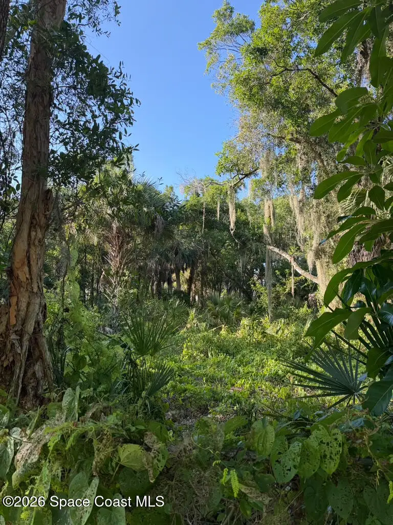 1838 Lemay Drive Ne, Palm Bay, FL 32905 - #1