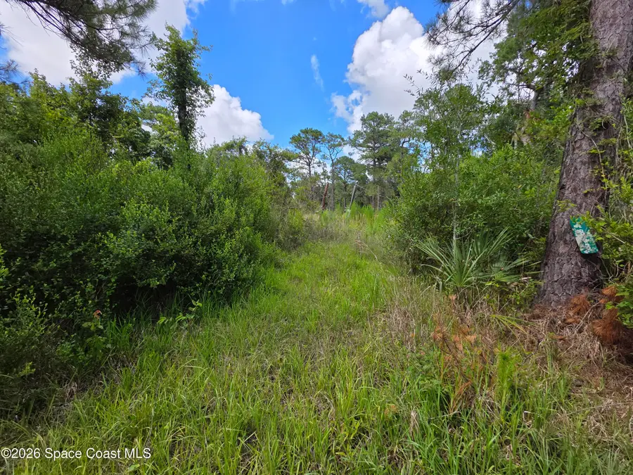 4863 Meadow Green Road, Mims, FL 32754 - #2