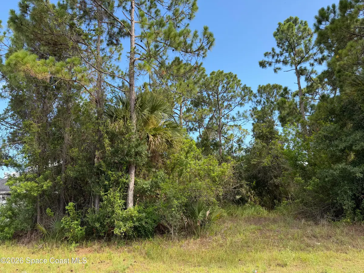 798 Altamira Street Nw, Palm Bay, FL 32907 - #1