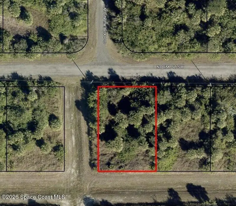 798 Novak Street Sw, Palm Bay, FL 32908 - #1