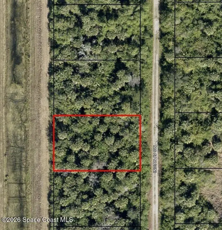 1624 Indian Avenue Sw, Palm Bay, FL 32908 - #1