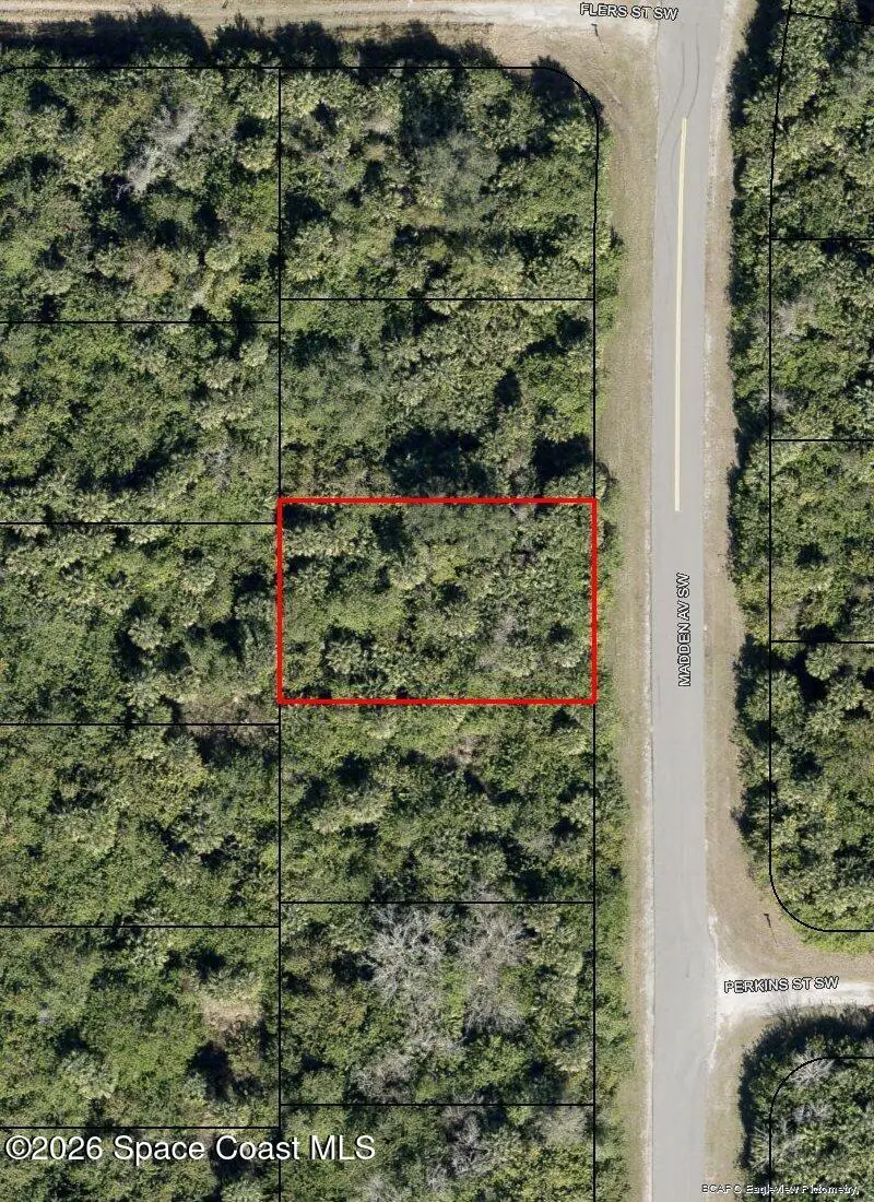 1618 Madden Avenue Sw, Palm Bay, FL 32908 - #1