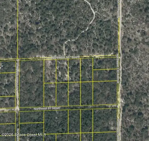 0000 NE 82nd Place, Bronson, FL 32621