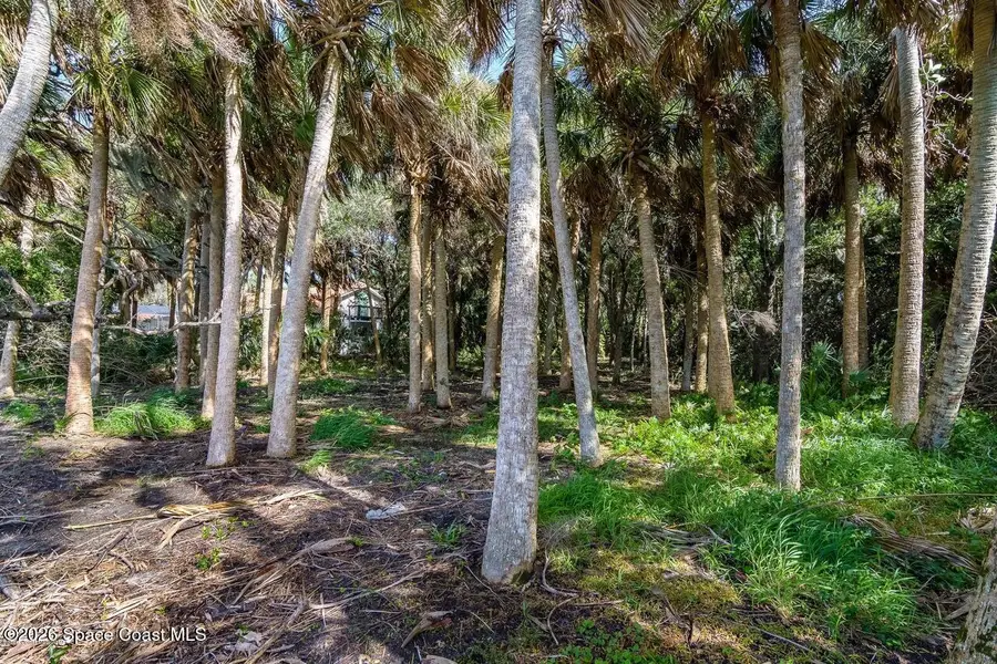 2940 Maritime Lane, Merritt Island, FL 32953 - #3