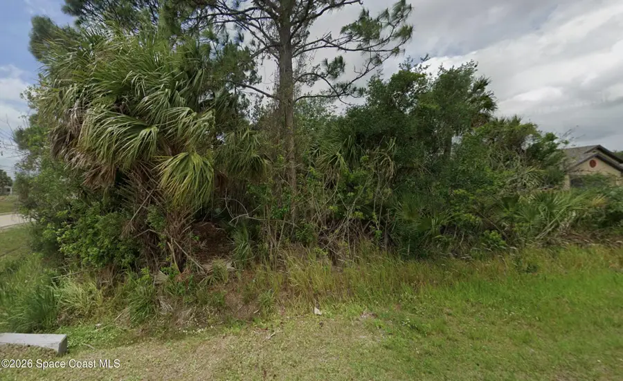 2298 O'connel Avenue Sw, Palm Bay, FL 32908 - #3