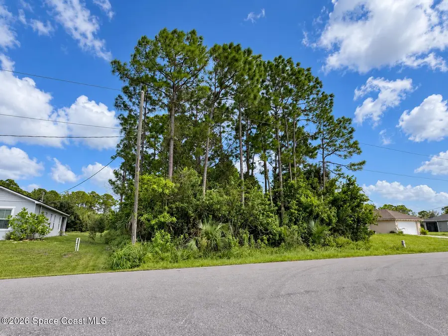 2801 Foxglove Avenue Sw, Palm Bay, FL 32908 - #2