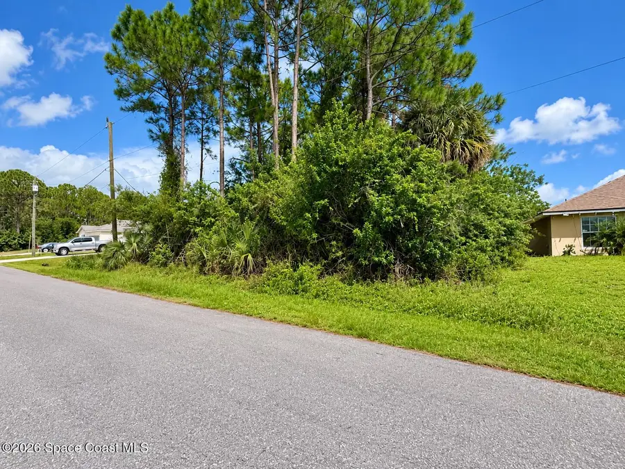 2801 Foxglove Avenue Sw, Palm Bay, FL 32908 - #3