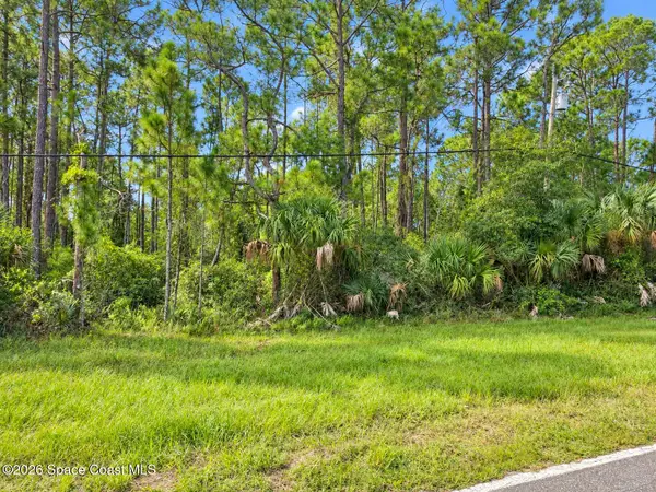 0000 Fox Lake Road, Titusville, FL 32780