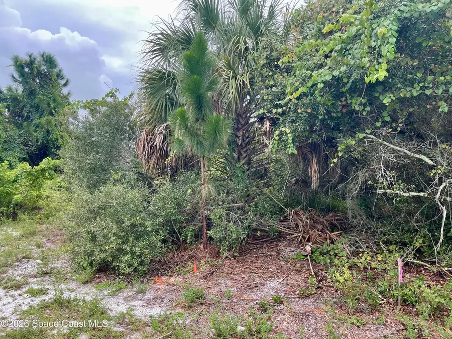 840 Andrew Street Se, Palm Bay, FL 32909 - #2