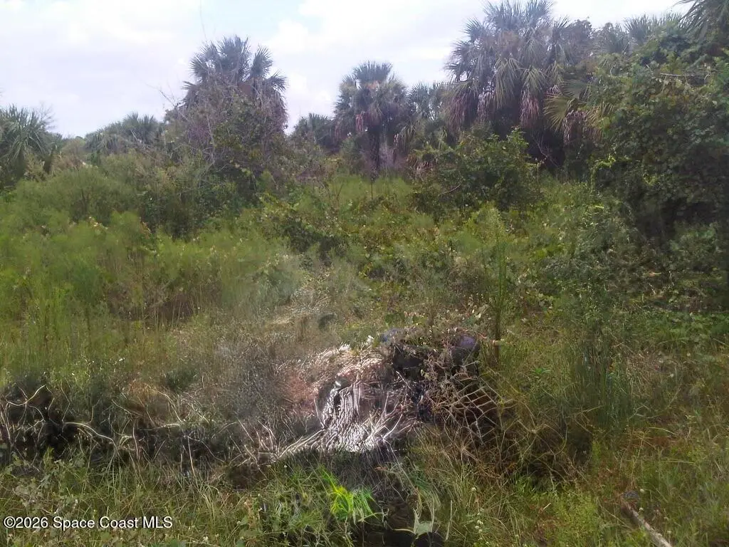 641 Yardley Street Sw, Palm Bay, FL 32908 - #1