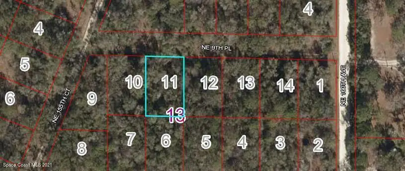 0 Ne 9th Place, Williston, FL 32696 - #1