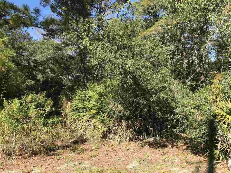 410 SE Avenue A, Carrabelle, FL 32322 - Image #2