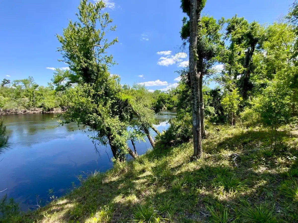 1903 SE Boundary Bend Trail, Lee, FL 32059 - #1