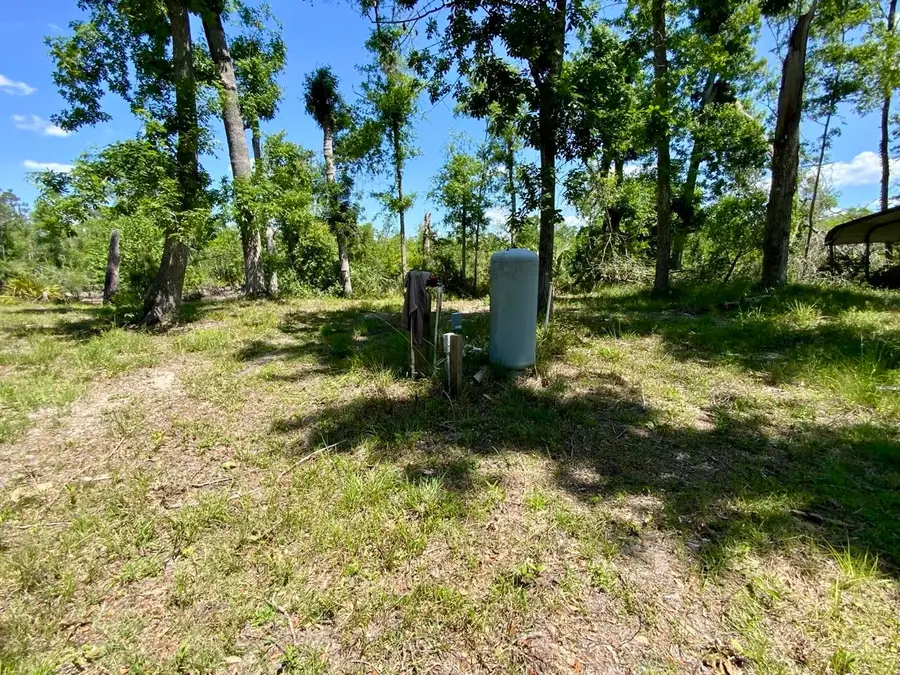 1903 SE Boundary Bend Trail, Lee, FL 32059 - #3