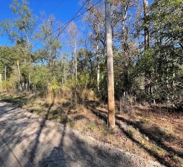 Choctaw Road, Crawfordville, FL 32327 - Image #2