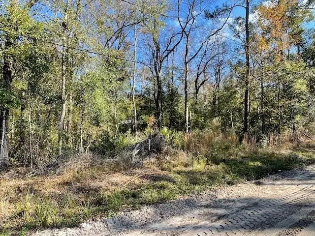 Choctaw Road, Crawfordville, FL 32327 - Image #3