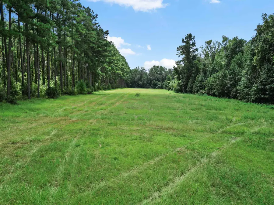 673 Matthew Clark Road, Quincy, FL 32351 - #2