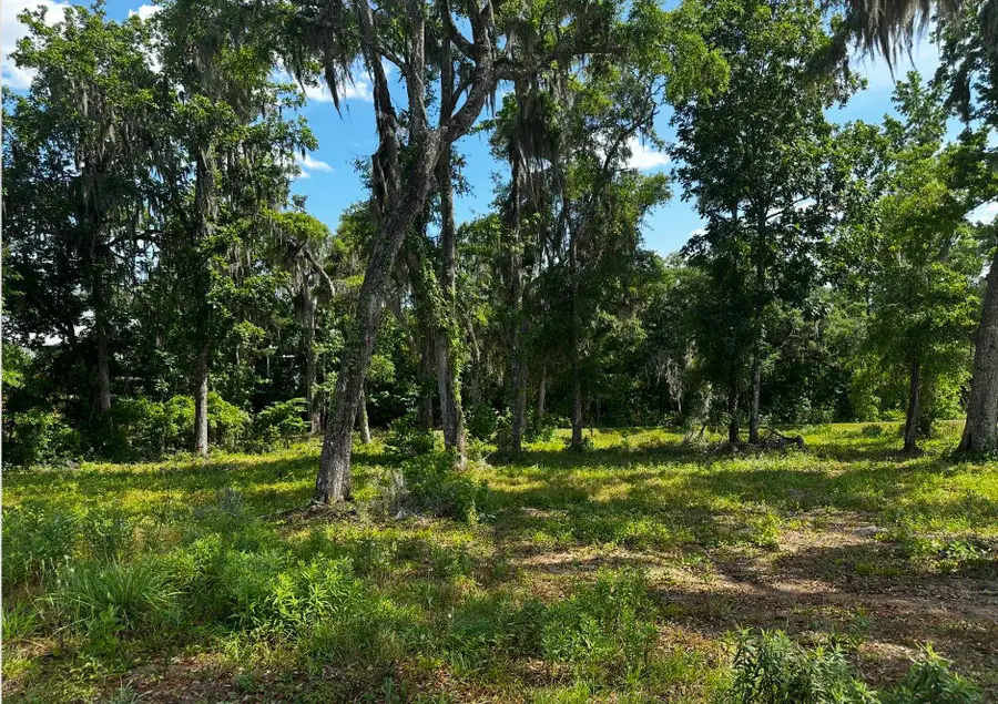 XXX Maple Leaf Way, Tallahassee, FL 32311 - #2